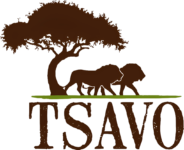 Tsavo Wildlife
