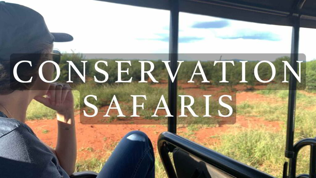 website images for page links 18 8672896